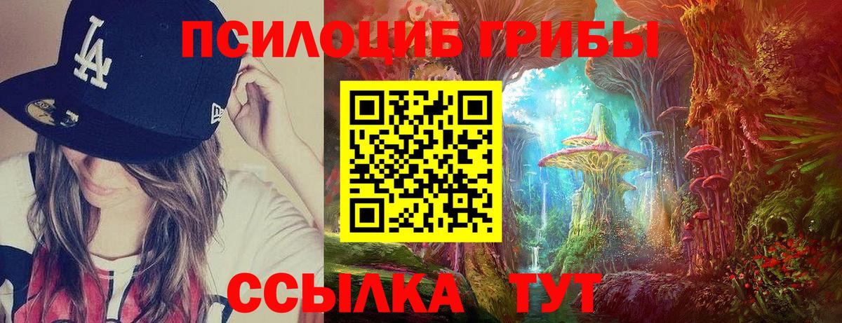 Псилоцибиновые грибы Magic Shrooms  где можно купить наркотик  Арзамас  Псилоцибиновые грибы прущие грибы  Вход с VPN 